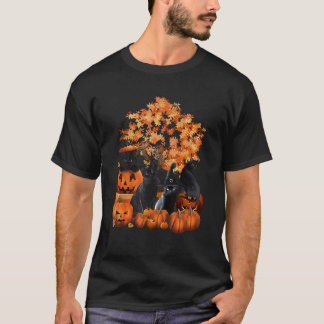 T-shirt Chats Citrouille Halloween