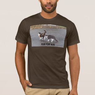 T-shirt Chats effrontés dans la route