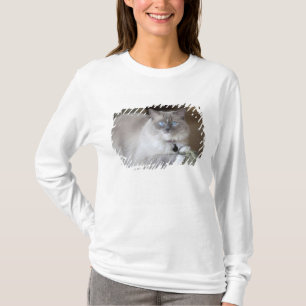 T-shirt Chatte Ragdoll