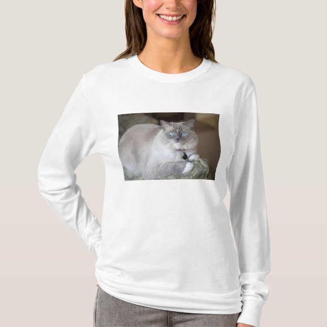T-shirt Chatte Ragdoll (Devant)