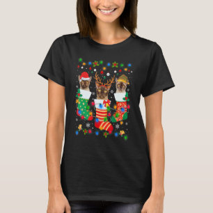 T-shirt Chaussettes de Noël de chaton de chat birman migno