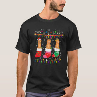 T-shirt Chaussettes de Noël de chien Goldendoodle Chausset