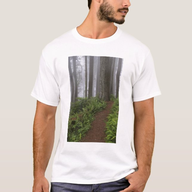 T-shirt Chemin à travers les séquoias géants enveloppés (Devant)