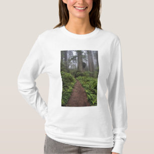 T-shirt Chemin à travers les séquoias géants enveloppés 2