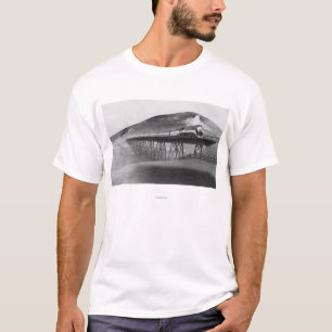 T-shirt Chemin de fer limité de lumière du jour au-dessu