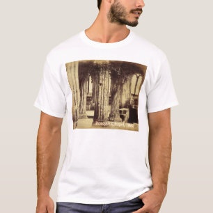 T-shirt Chemise 1860 de chapelle de Rosslyn