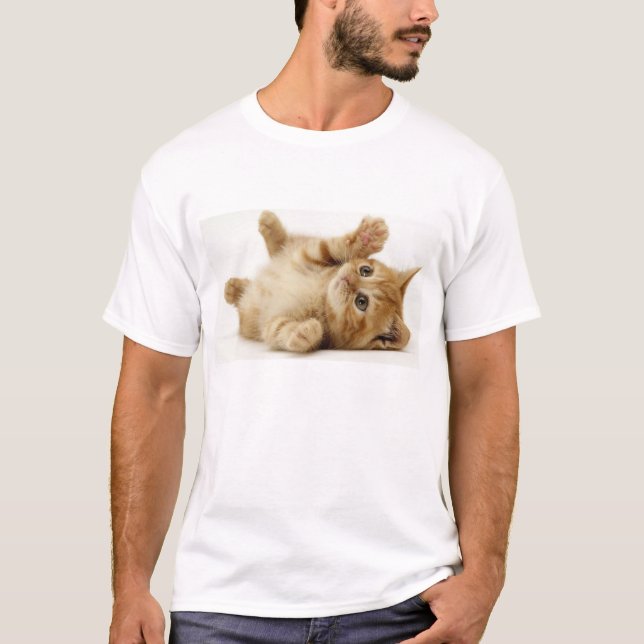 T-shirt Chemise de chat (Devant)