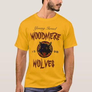 T-shirt chemise de dylans