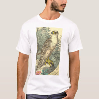 T-shirt Chemise de faucon