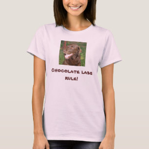 T-shirt . Chemise de règle de laboratoire de chocolat