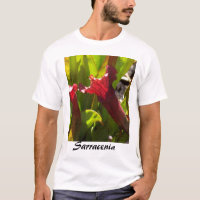 Chemise de Sarracenia