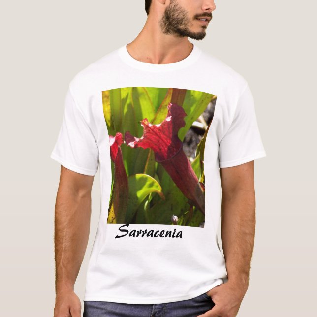 T-shirt Chemise de Sarracenia (Devant)