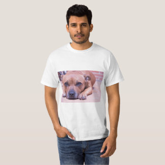 T-shirt Chemise de Staffy