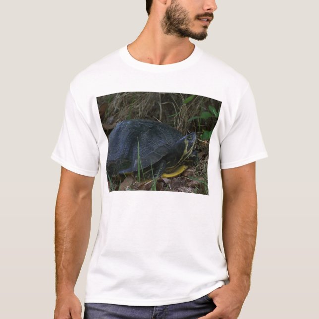 T-shirt Chemise de tortue à ventre jaune (Devant)