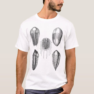 T-shirt Chemise de Trilobites