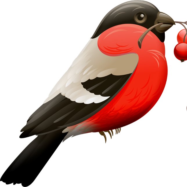 T-shirt Chemise d'été imprimée avec un oiseau en rouge, no (Créateur téléchargé)