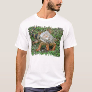 T-shirt chemise d'iguane
