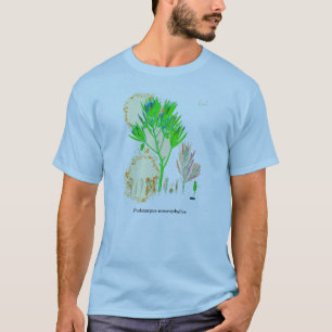 T-shirt Chemise d'impression de Podocarpus de CYCAD