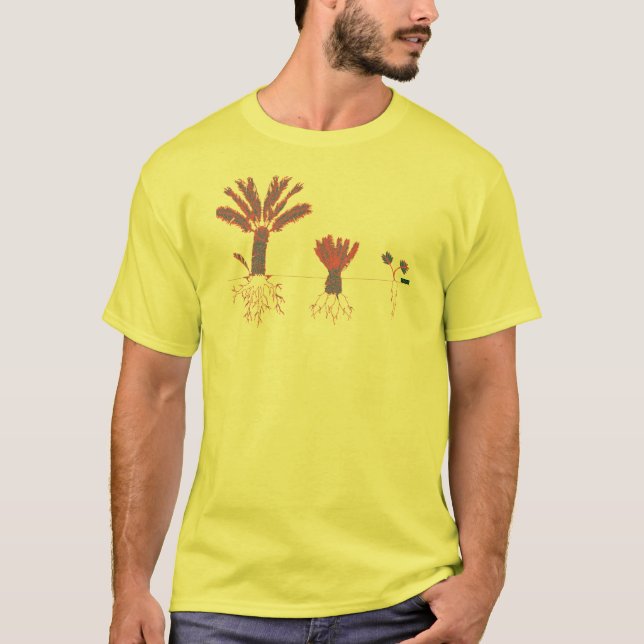 T-shirt Chemise du CYCAD 3X (Devant)
