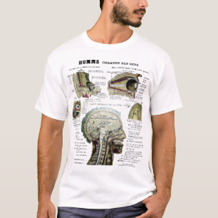 T-shirt Chemise française vintage d'anatomie