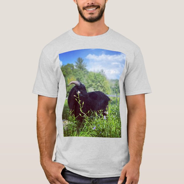 T-shirt Chemise imprimée Beethoven (Devant)