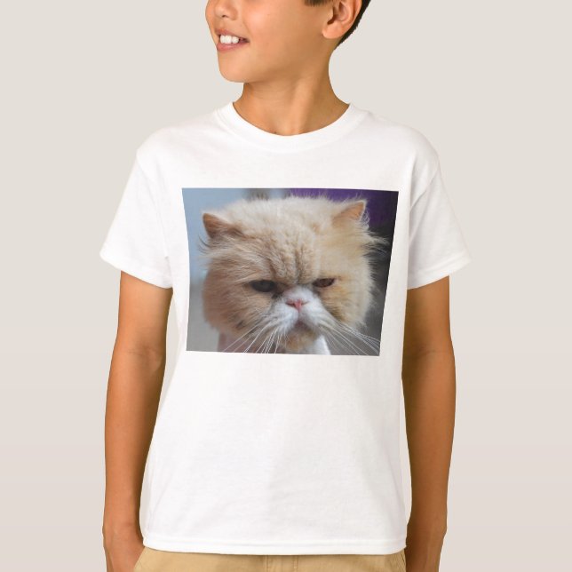 T-shirt Chemise perse purr-fect (Devant)