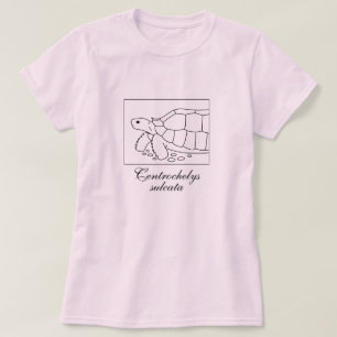 T-shirt Chemise Sulcata Tortoise (boîte, noir)