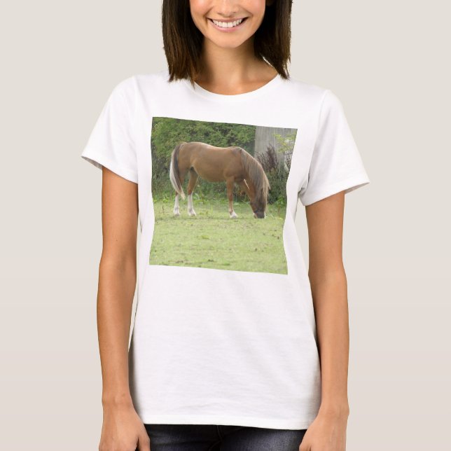 T-shirt Chemise T Cheval Blanc Shirt (Devant)