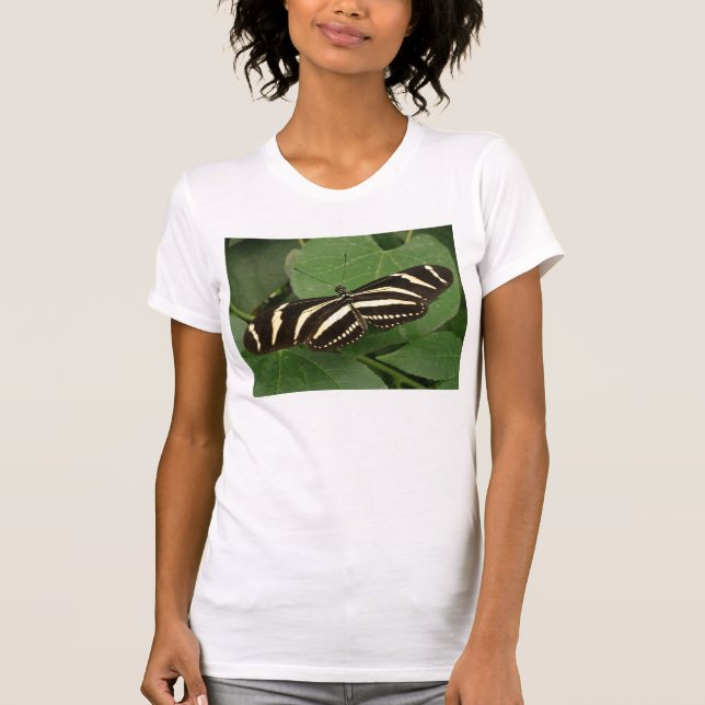 T-shirt Chemise T Papillon à aile longue Zebra (Devant)