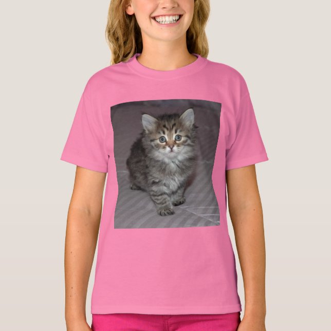 T-shirt Chemise Tabby Kitten (Devant)
