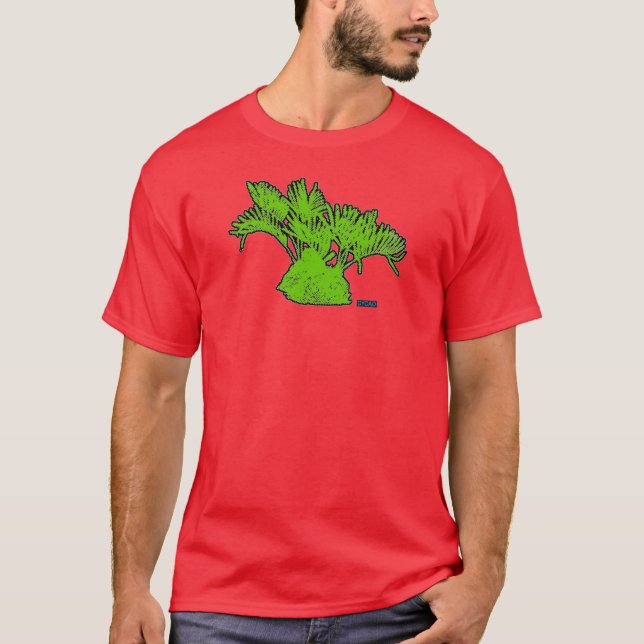T-shirt Chemise verte de Coontie de CYCAD (Devant)