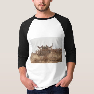 T-SHIRT CHEMISES DE CERFS COMMUNS DE MULE