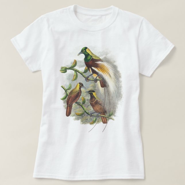 T-shirt Chemises femmes mignonnes oiseaux (Design devant)