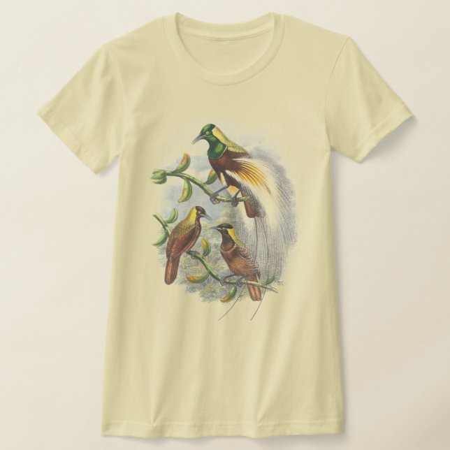 T-shirt Chemises femmes mignonnes oiseaux (Poser)