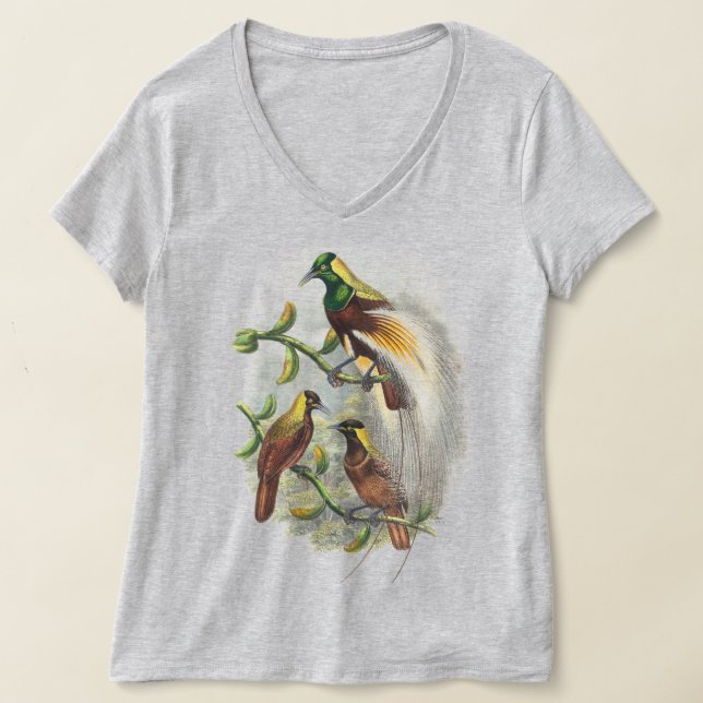 T-shirt Chemises femmes mignonnes oiseaux (Poser)