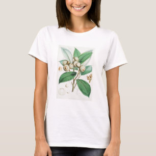 T-shirt Chêne vert