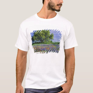 T-shirt Chêne vivant & Pinceau de Texas, et Texas