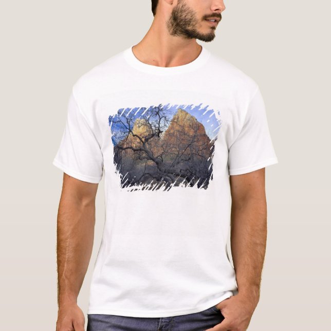 T-shirt Chênes en hiver, Cour des Patriarches (Devant)