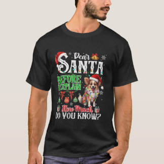T-shirt Cher Père Noël Avant D'Expliquer Combien Vous Conn