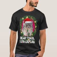 Cher Père Noël mignonne Grey Perse Chat Naughty po
