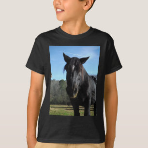T-shirt Cheval à bascule noir secouru