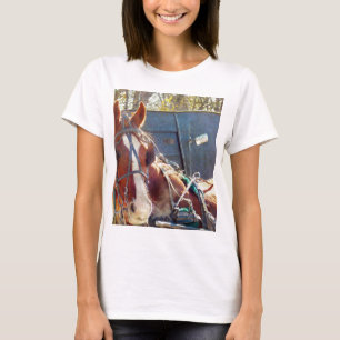T-shirt Cheval Amish