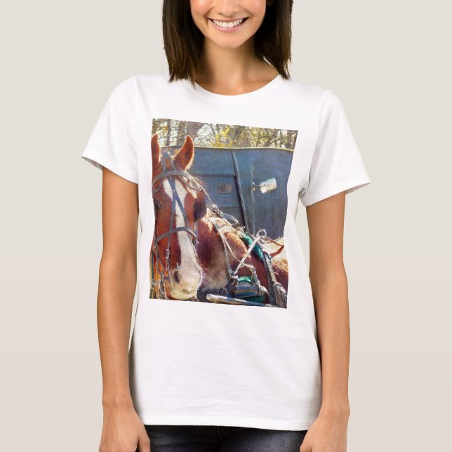 T-shirt Cheval Amish (Devant)