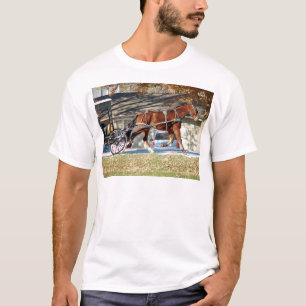 T-shirt Cheval Amish Automne