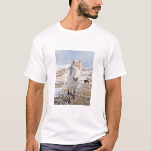 T-shirt Cheval Blanc Islandais, Islande