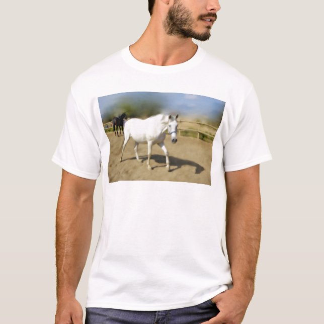 T-SHIRT CHEVAL BLANC PEINT (Devant)