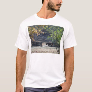 T-shirt Cheval Brun traversant une clôture