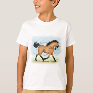 T-shirt Cheval Buckskin Education Equine Anatomie