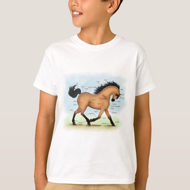 T-shirt Cheval Buckskin Education Equine Anatomie (Devant)