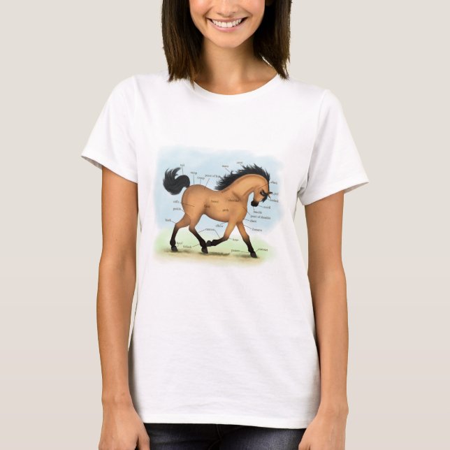 T-shirt Cheval Buckskin Education Equine Anatomie (Devant)